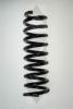 SPIDAN 49623 Coil Spring